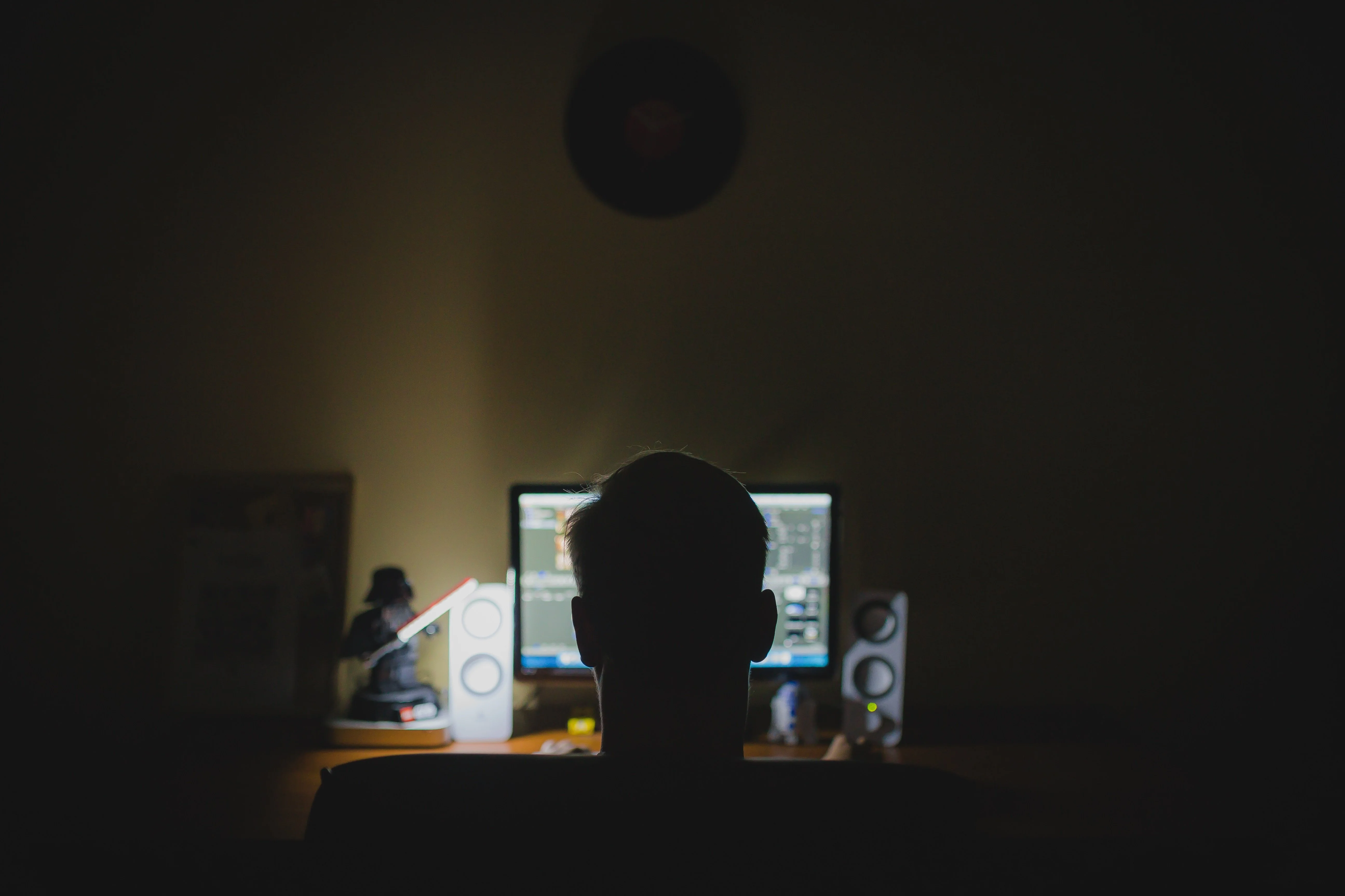 Penetration Testing & Security Audit